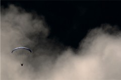 Flug ins ... :: &copy; Roswitha Schleicher-Schwarz