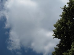 Drei Segelflugzeuge drehen direkt über der Schleppstrecke unter einer Wolke auf :: &copy; Martin Speis