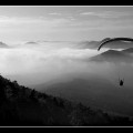 Trifels / Pfalz im Nebel :: © Carsten Alex. Simon