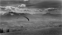 : FREIHEIT : :: &copy; Raphael Forsthuber