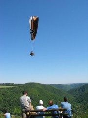 Hardy fliegt in Lasserg (Mosel) :: &copy; Martin Speis