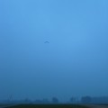 … und dann schlug der "Nebel des Grauens" zu. :: © Martin Speis … und dann schlug der "Nebel des Grauens" zu. :: © Martin Speis