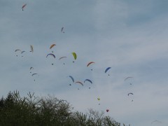 Mosel Open 2008 :: &copy; Martin Speis